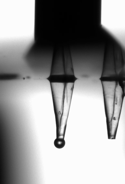 SLA printed Microneedle