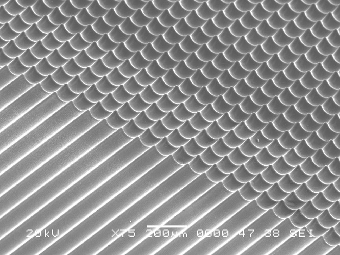 Detail of a Micro-Lens array produced by an Optec wokstation
