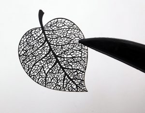 Black zircone leaf